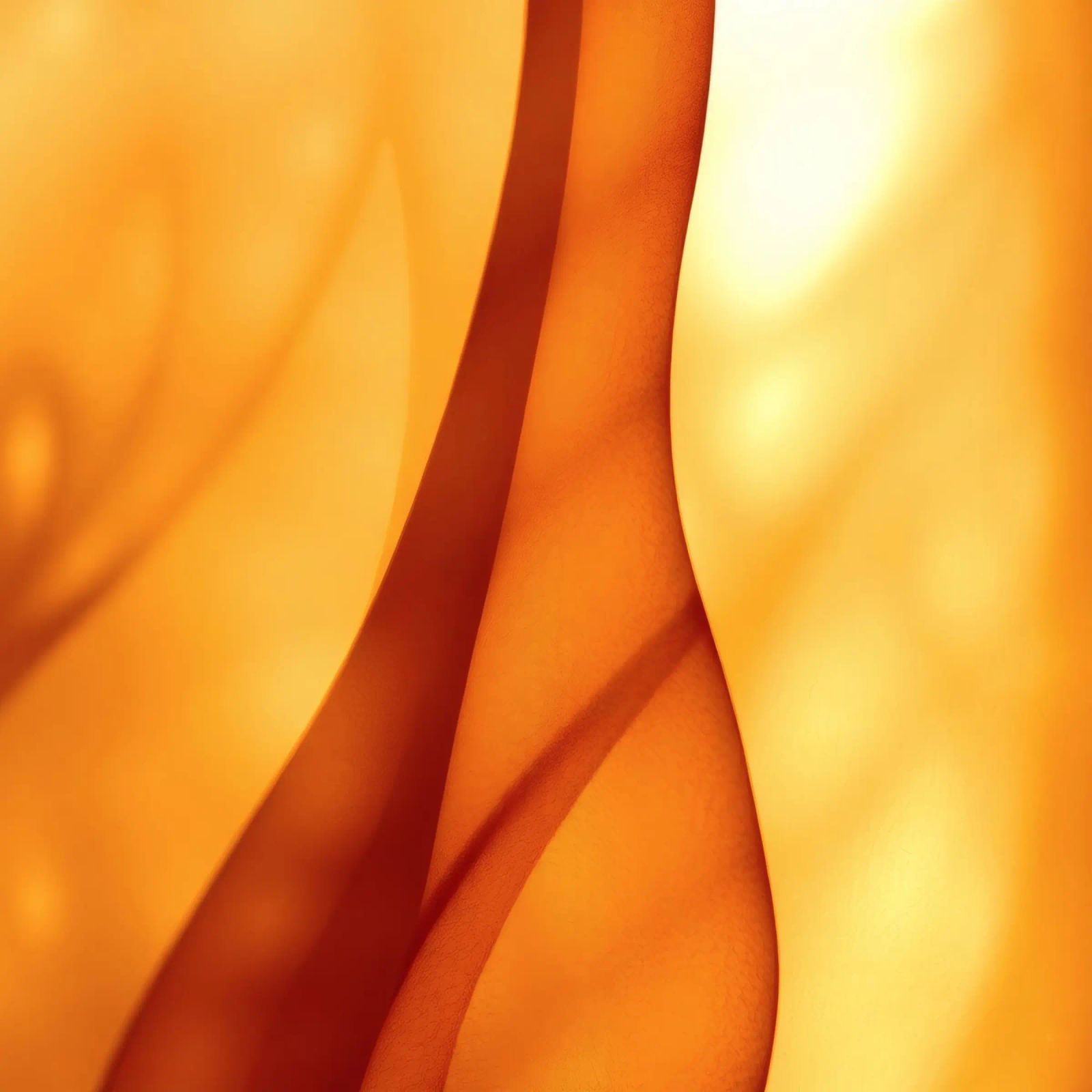 Abstract orange shapes blend to create warm & inviting art canvas by DesignDoodle