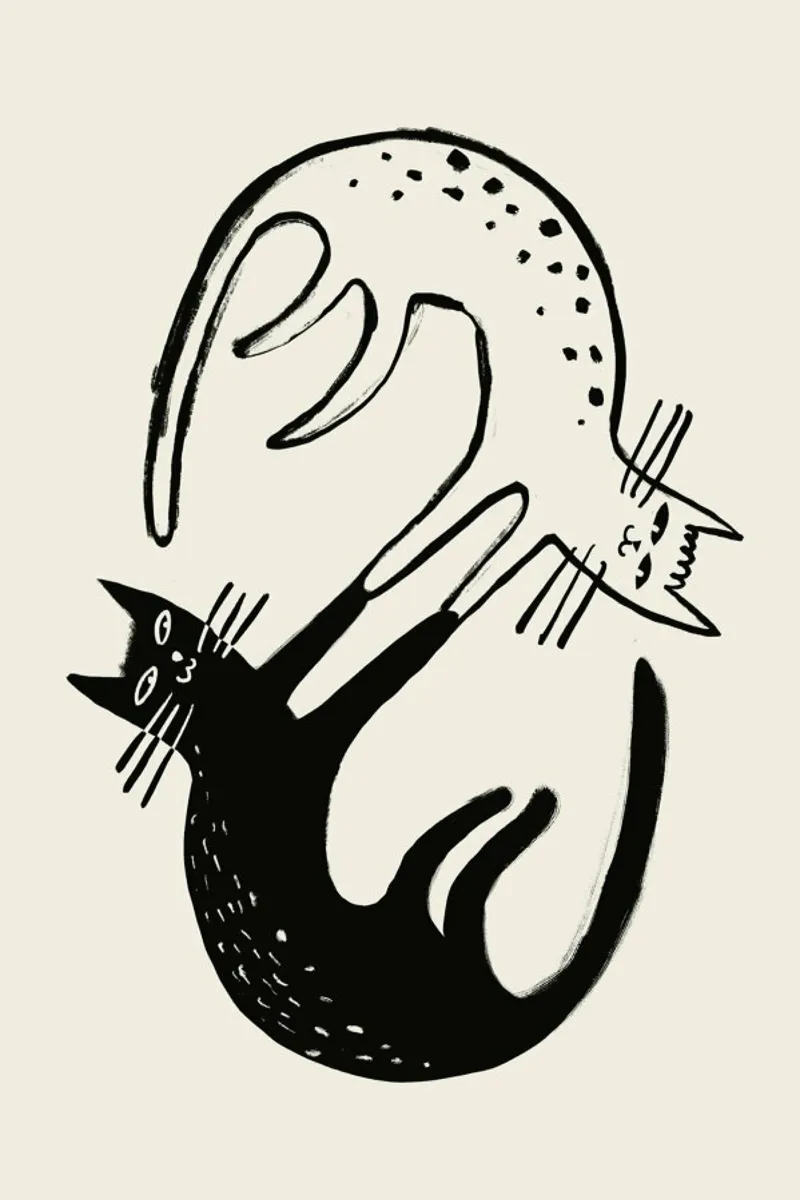 Kitten Around 2 pellicola backlit da Graphite