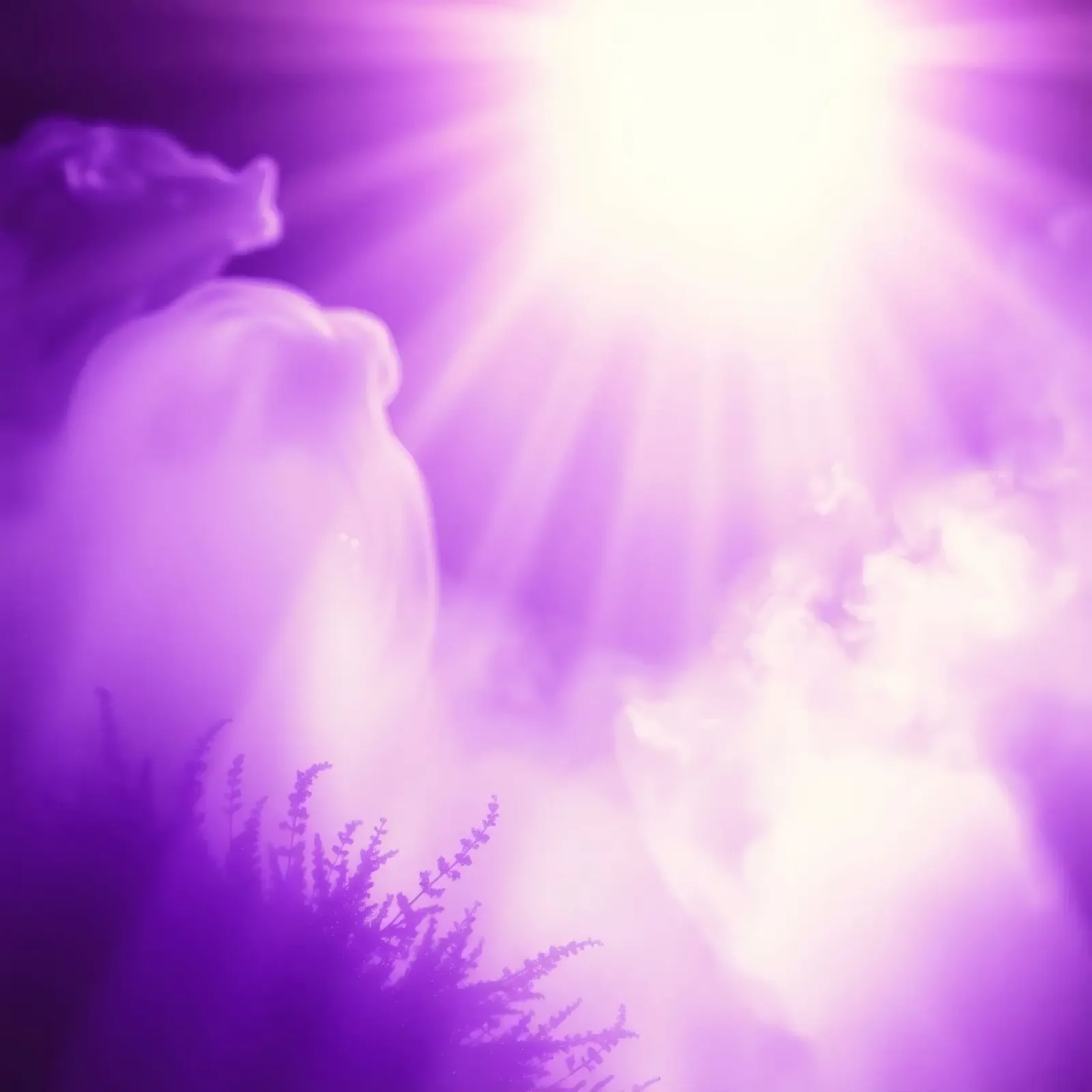 I fasci di luce viola si disperdono tra le nubi nebbiose carta hahnemühle da DesignDoodle