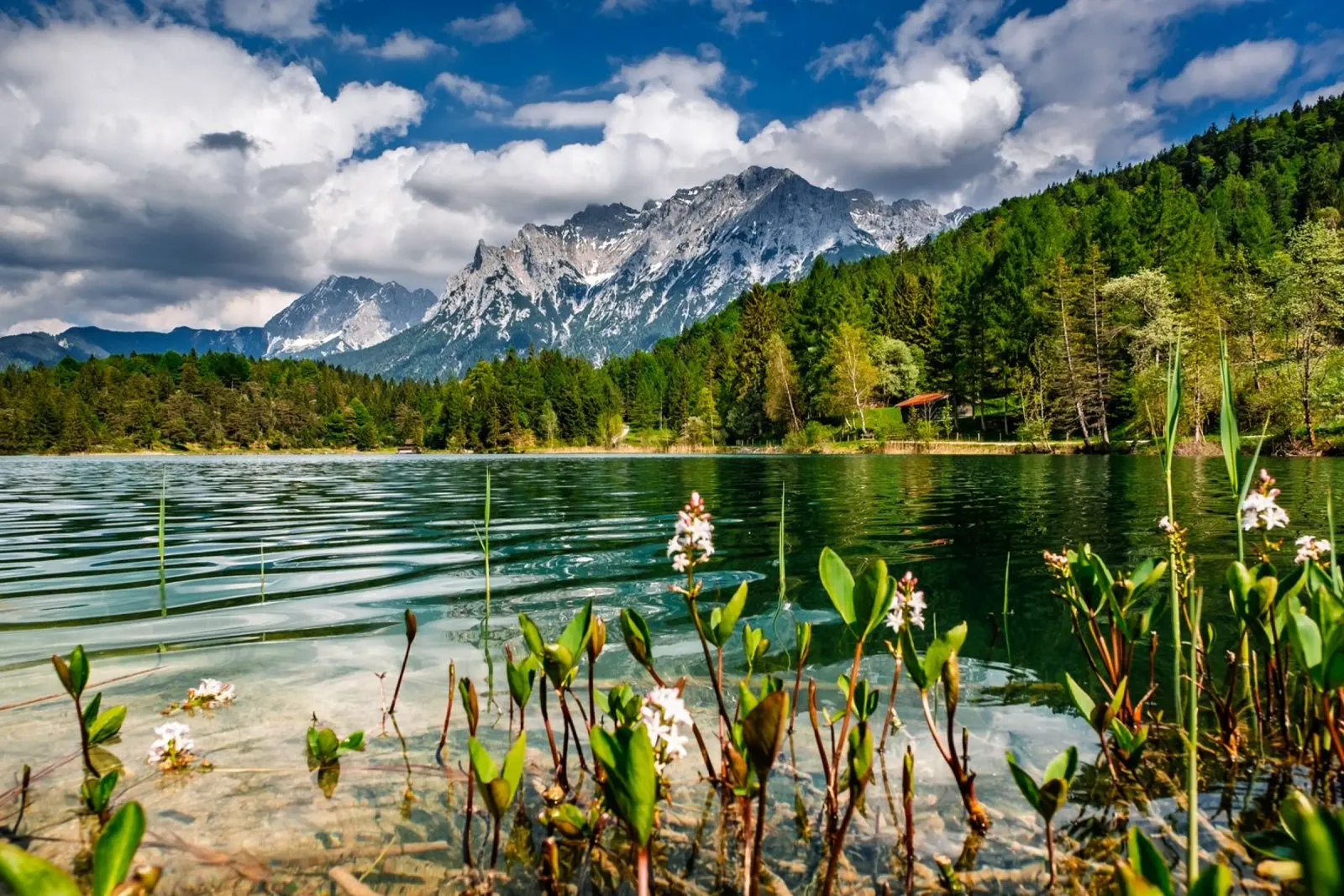 Lautersee in summer with a view of the Karwendel mountains canvas with Floater frame by 5ecken