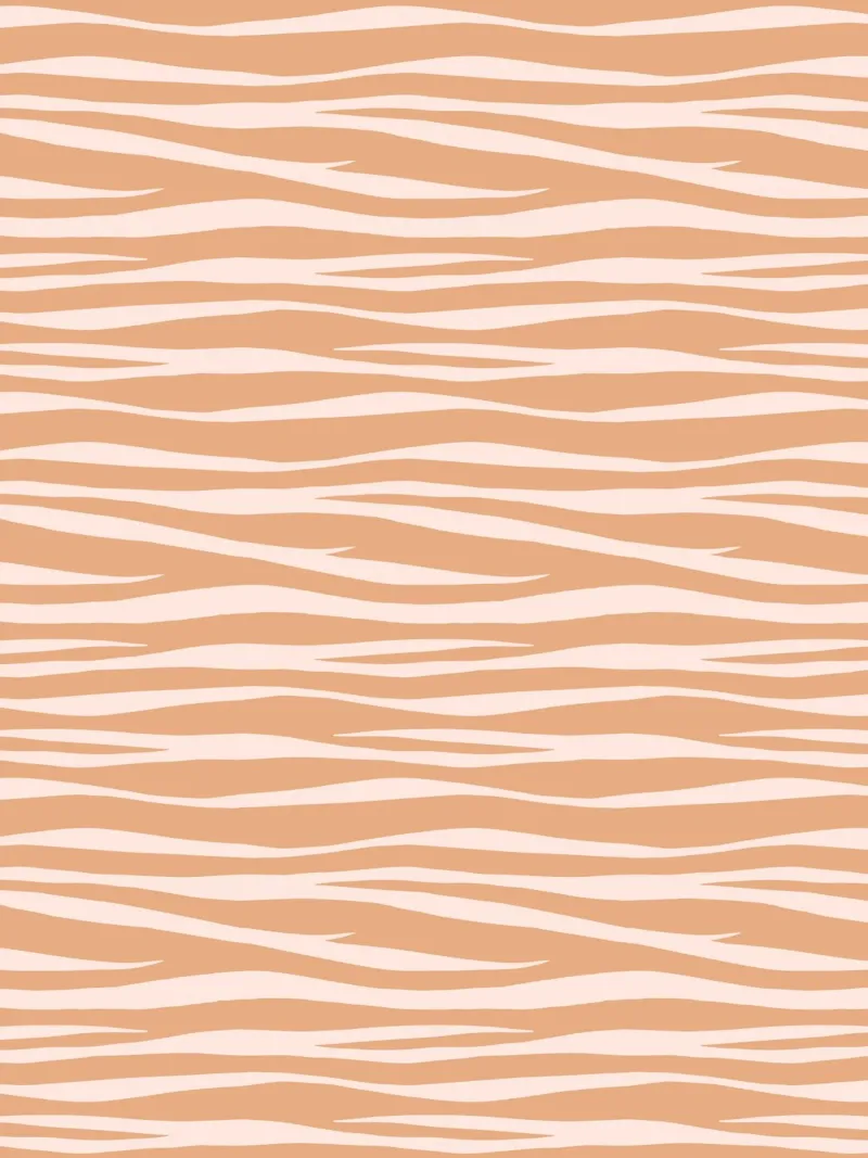 Toffee karamel met zebraprint canvas van SilverPegasus
