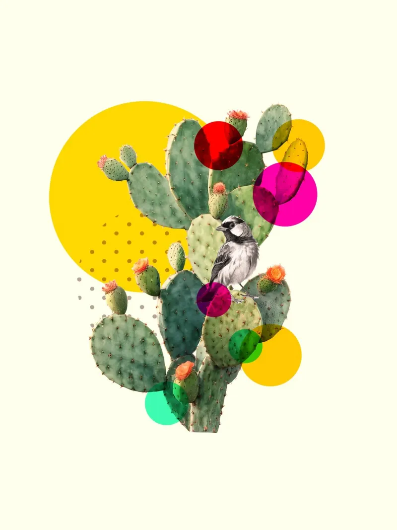 Color Pop Cactus poster con telaio in alluminio da Indigo Rain