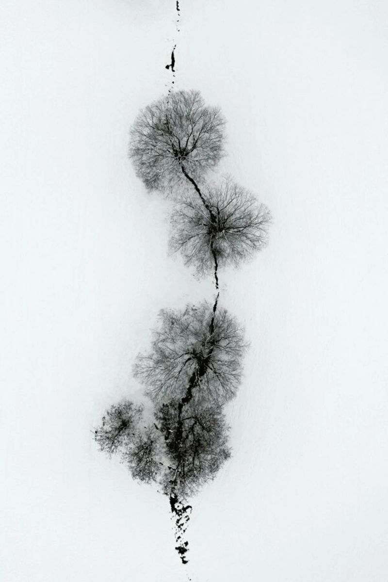 Trees At A Snowy Ice Stream poster da Studio Nahili