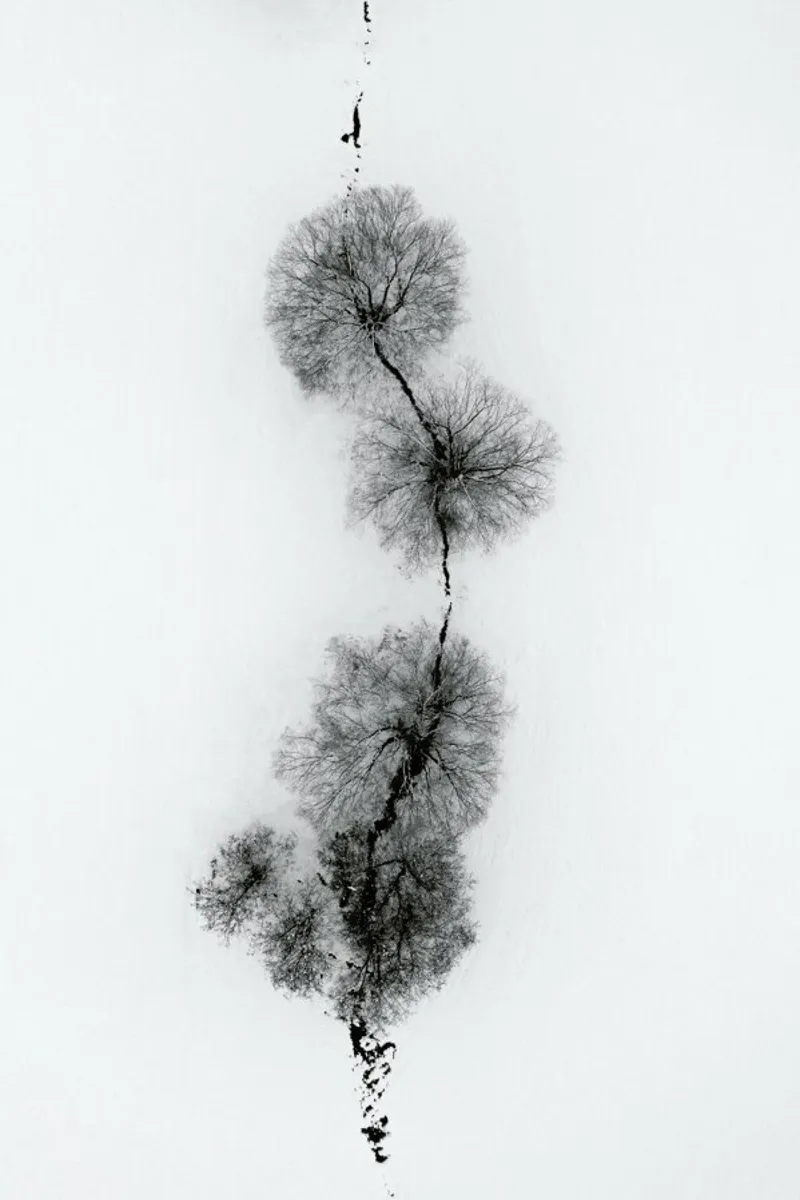 Trees At A Snowy Ice Stream canvas van Studio Nahili