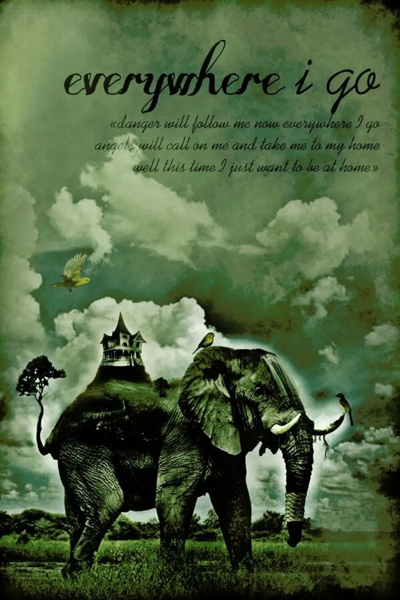 Everywhere I Go pellicola backlit da Design by Soph
