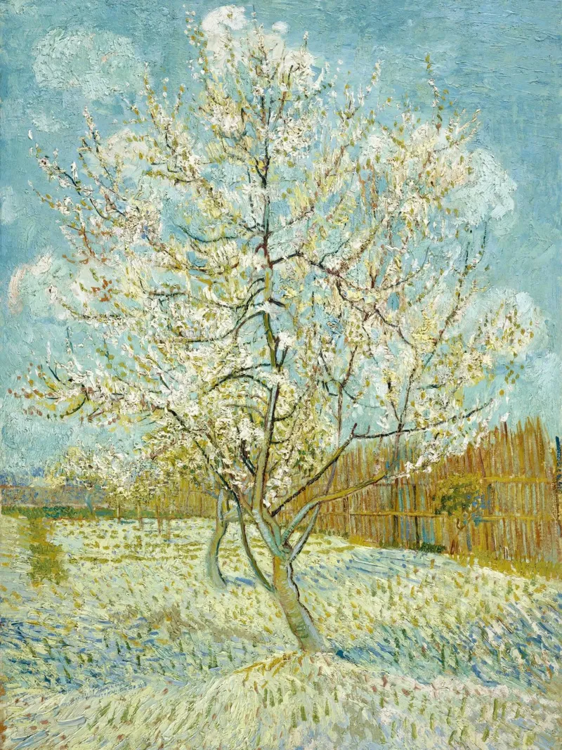 Il pesco rosa di Vincent van Gogh poster da Van Gogh Prints