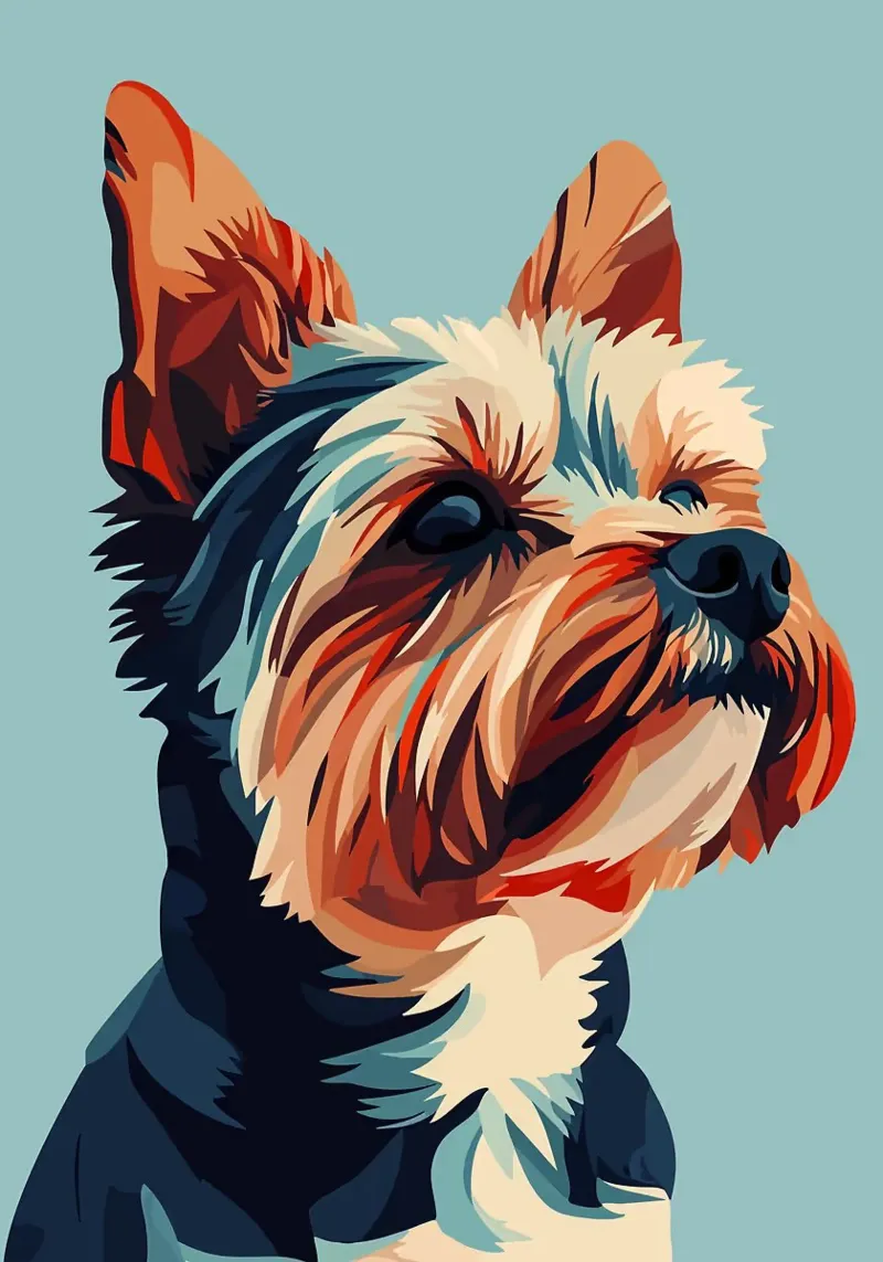 dog yorkshire terrier pet ears fur portrait forex plate by Kirsten C Nolan