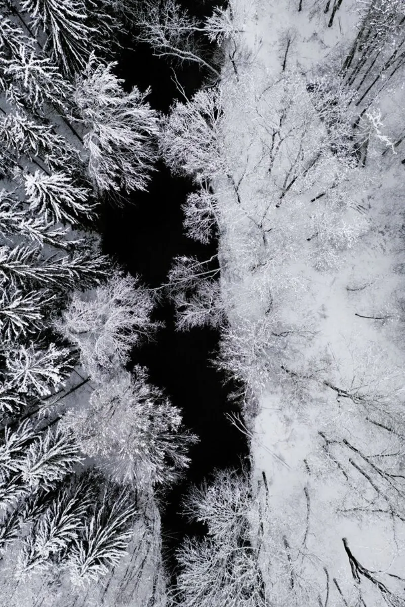 Black River Through The Snowy Winter Forest carta hahnemühle da Studio Nahili