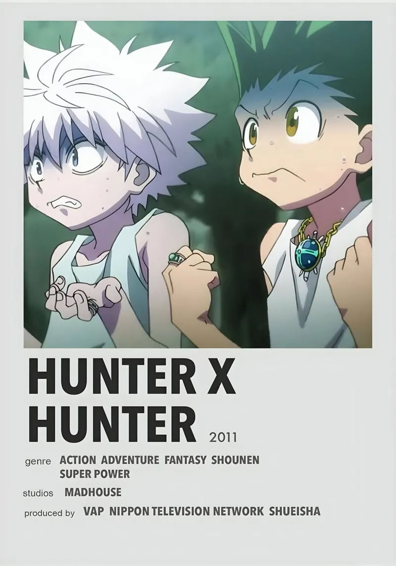 HUNTER X HUNTER 2011 pellicola backlit da Totoya