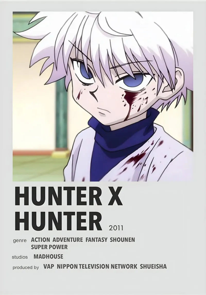 HUNTER X HUNTER 2011 pellicola backlit da Totoya