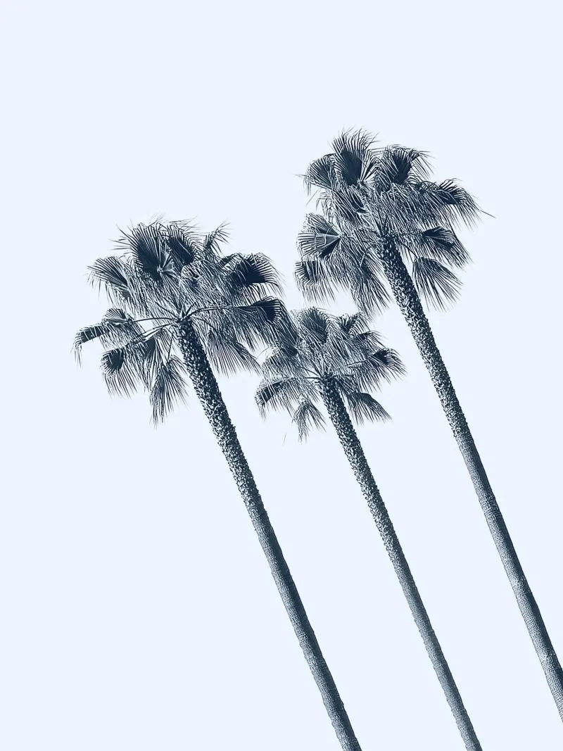 Ritmo delle palme poster con telaio in alluminio da Moon  Bloom