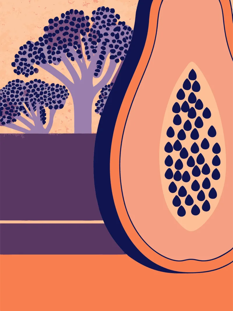Frutto della papaya poster da TODAY'S SHOP