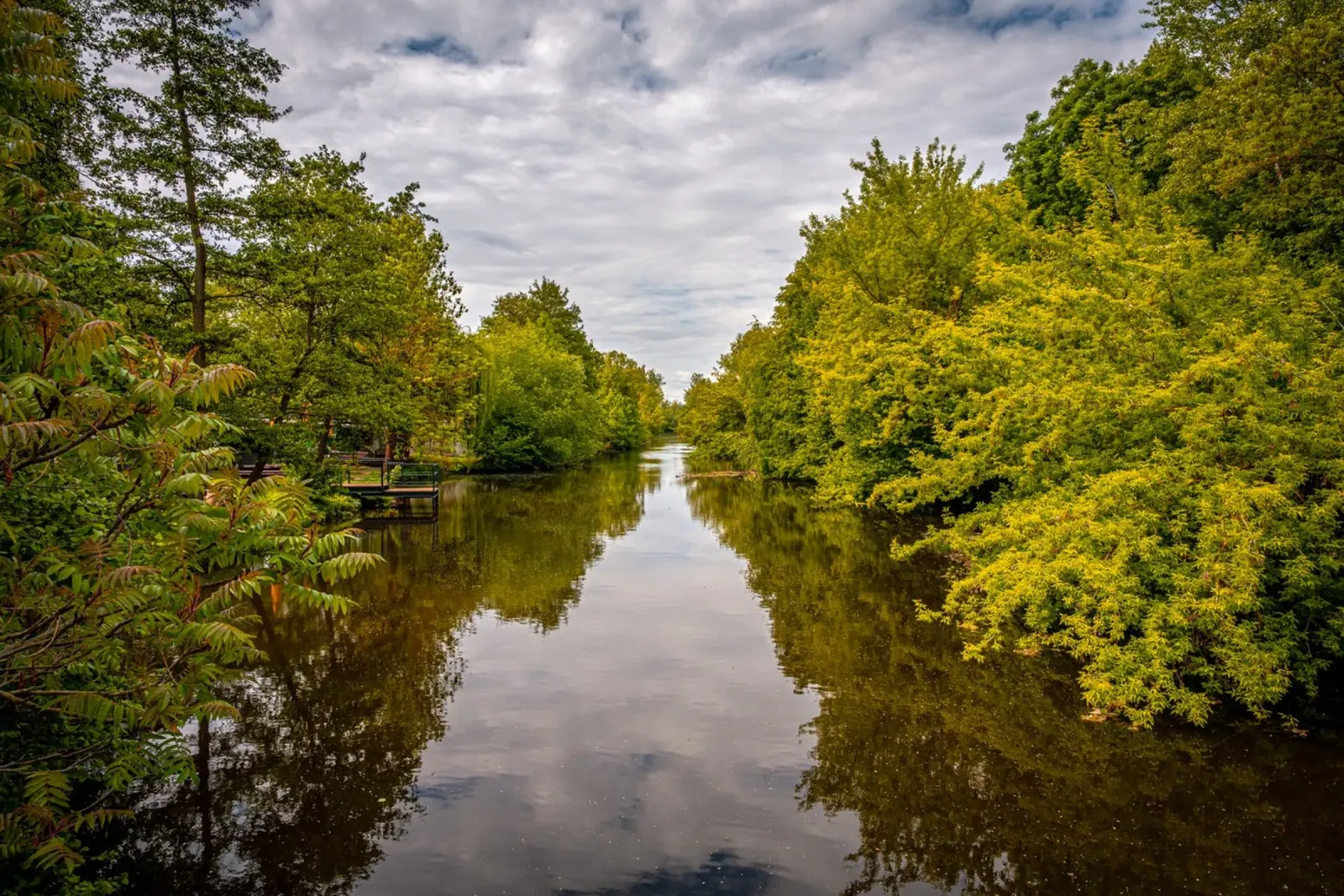 View of the river Saale with reflections of the trees on the bank hahnemühle by Marcus Beckert | Fotografie