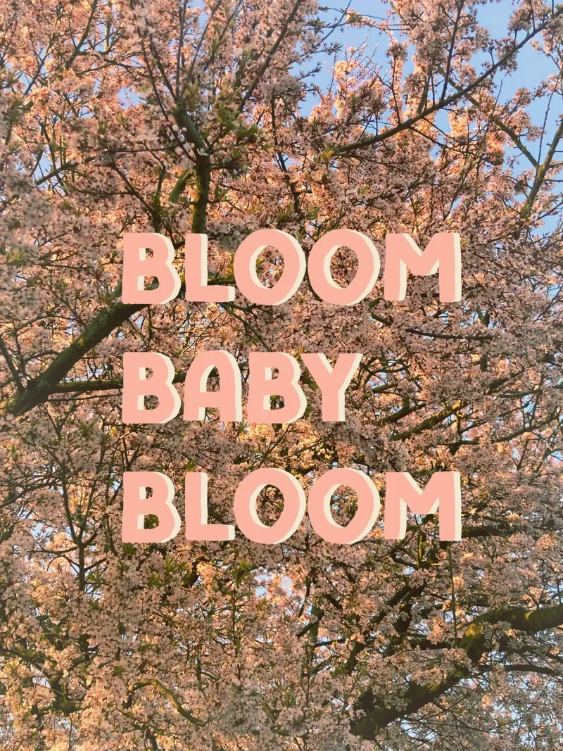 Bloom Baby Bloom poster con telaio in legno da Nordic Vibes