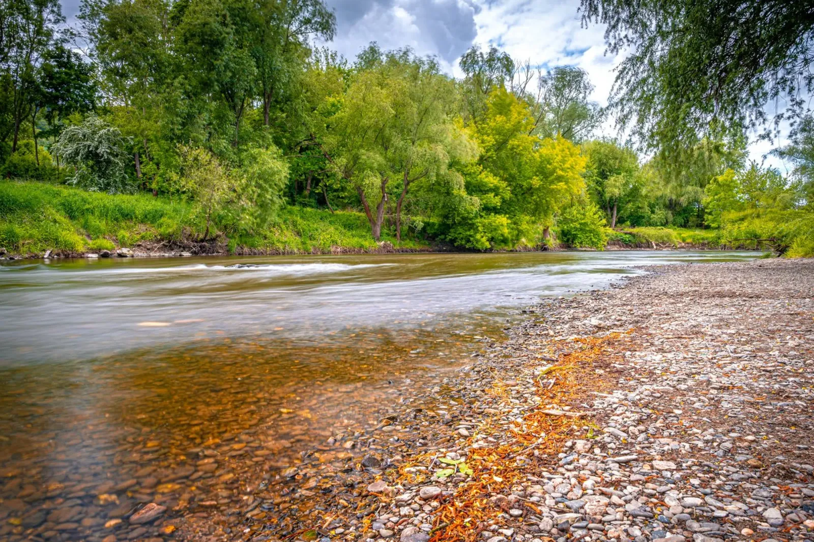 Fiume Saale con spiaggia di ghiaia vicino a Jena in primavera pellicola backlit da Marcus Beckert | Fotografie