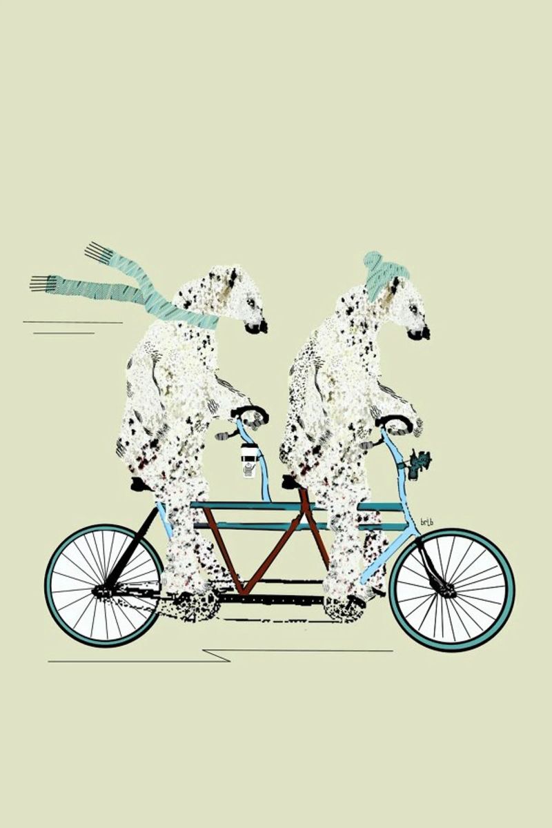 polar bears lets tandem Leinwand von Brian Buckley