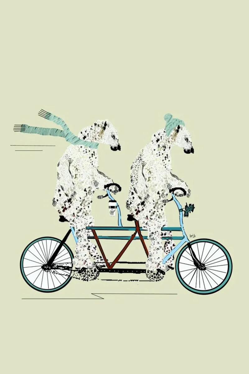 polar bears lets tandem pellicola backlit da Brian Buckley