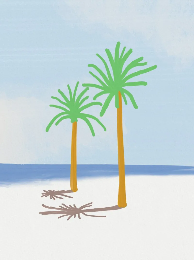 Palm tree shadow acrylic glass by Little Dean