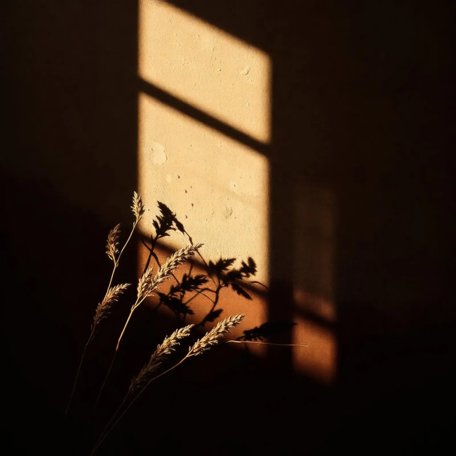 Warm zonlicht werpt schaduwen van gedroogde planten canvas van DesignDoodle