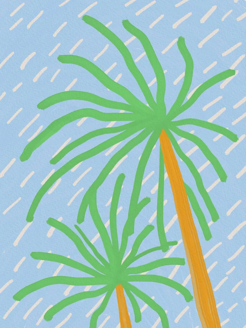 Palm in the wind canvas with Floater frame by Little Dean