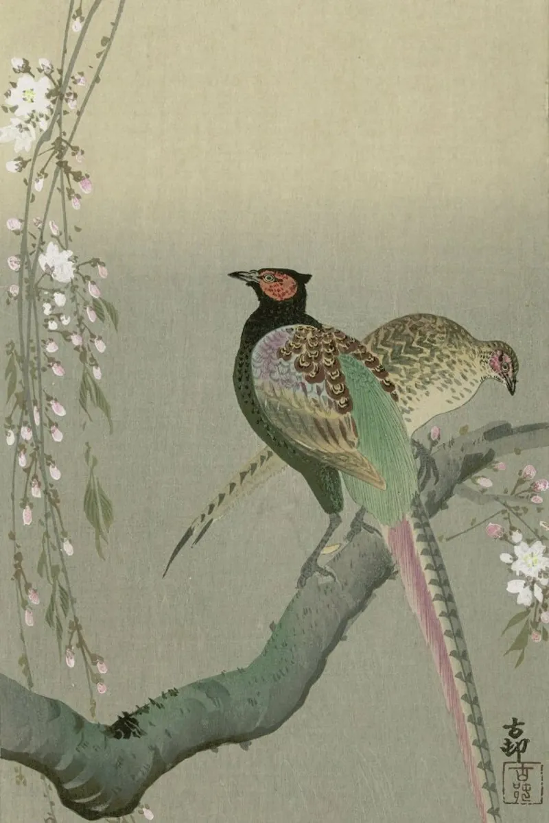 Shôson - Pheasants in a Cherry Blossom Branch. pellicola backlit da ARTOTHEK