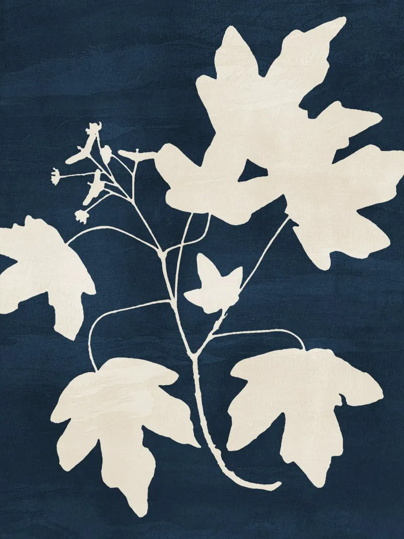 Maple Branch - Blue carta hahnemühle da adrianooliveira