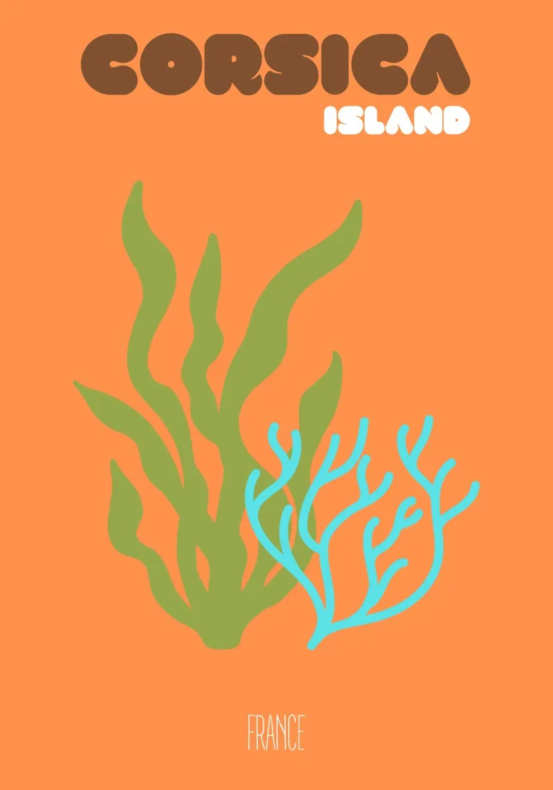 Middellandse Zee Corsica: Zeewier & koraalrif kunst - Frans eiland canvas met Baklijst van NorwesClub