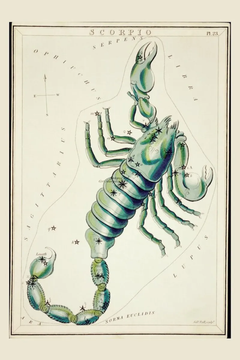 Scorpio pellicola backlit da Vintage by JUNIQE