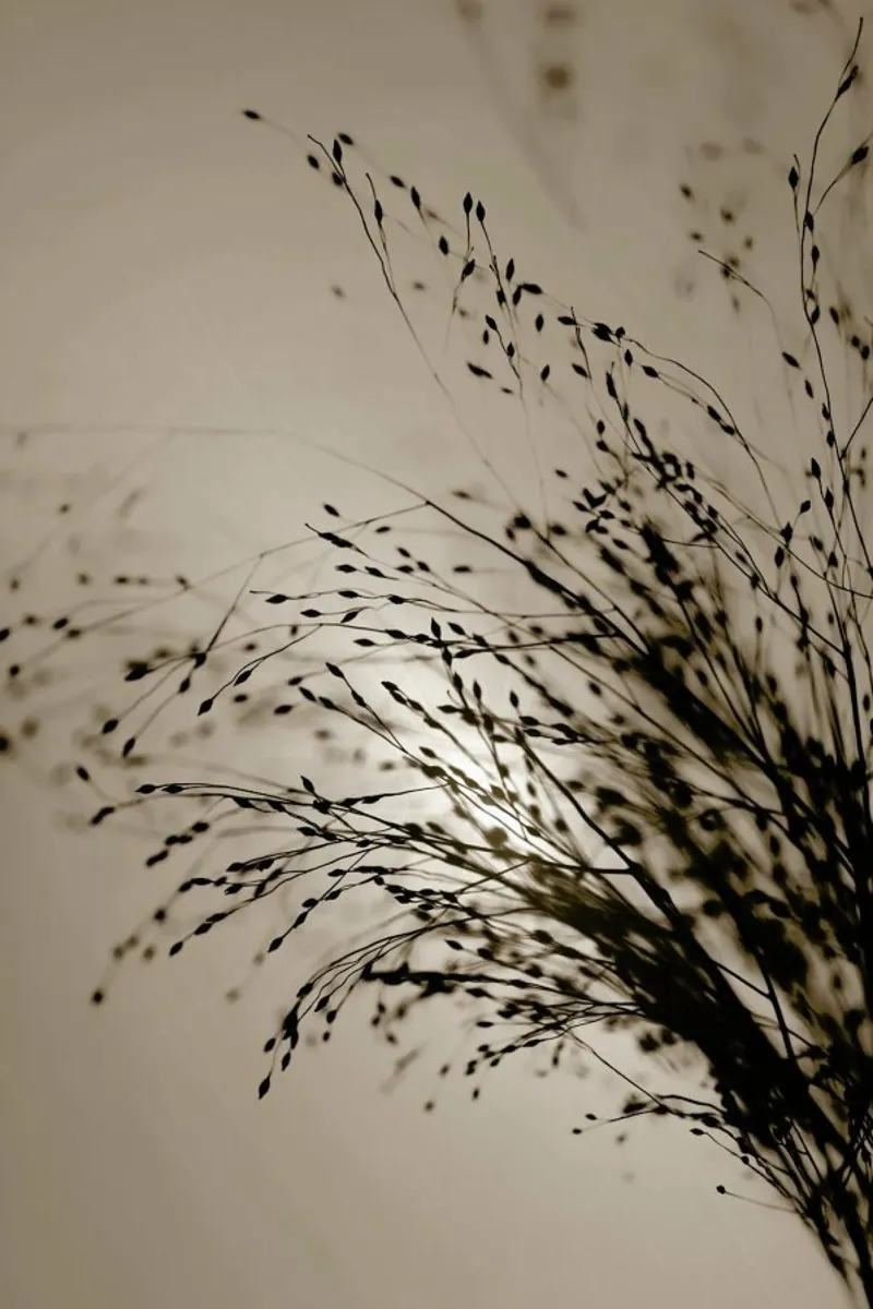 Brown Grass 2 carta hahnemühle da Monika Strigel