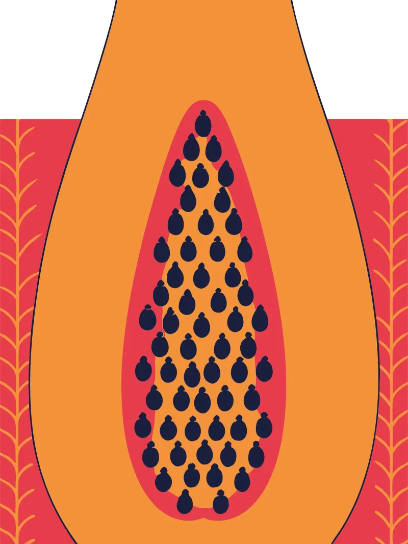 Frutto della papaya poster da TODAY'S SHOP