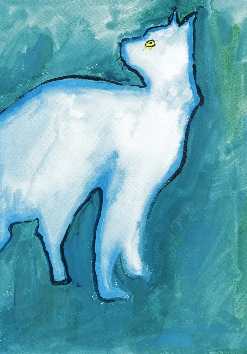 Cat, Blue poster by Aviwe Apleni