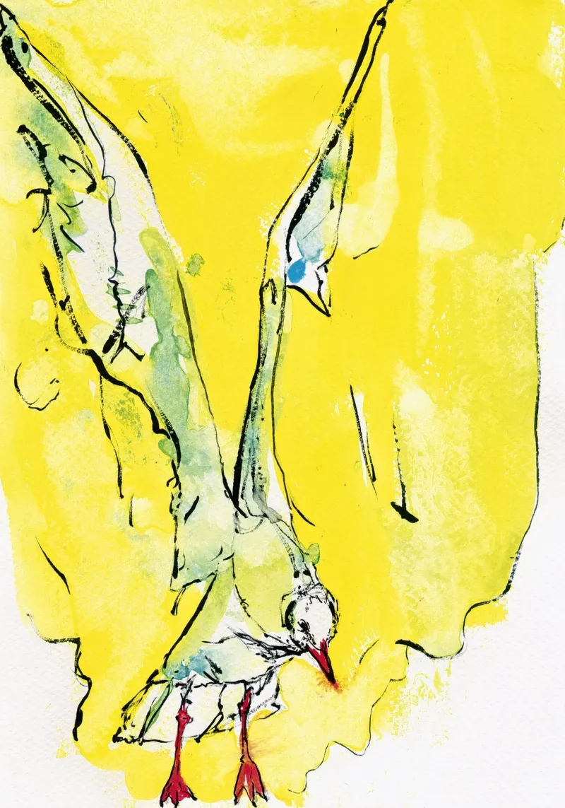 Bird In Flight With Yellow pellicola backlit da Aviwe Apleni
