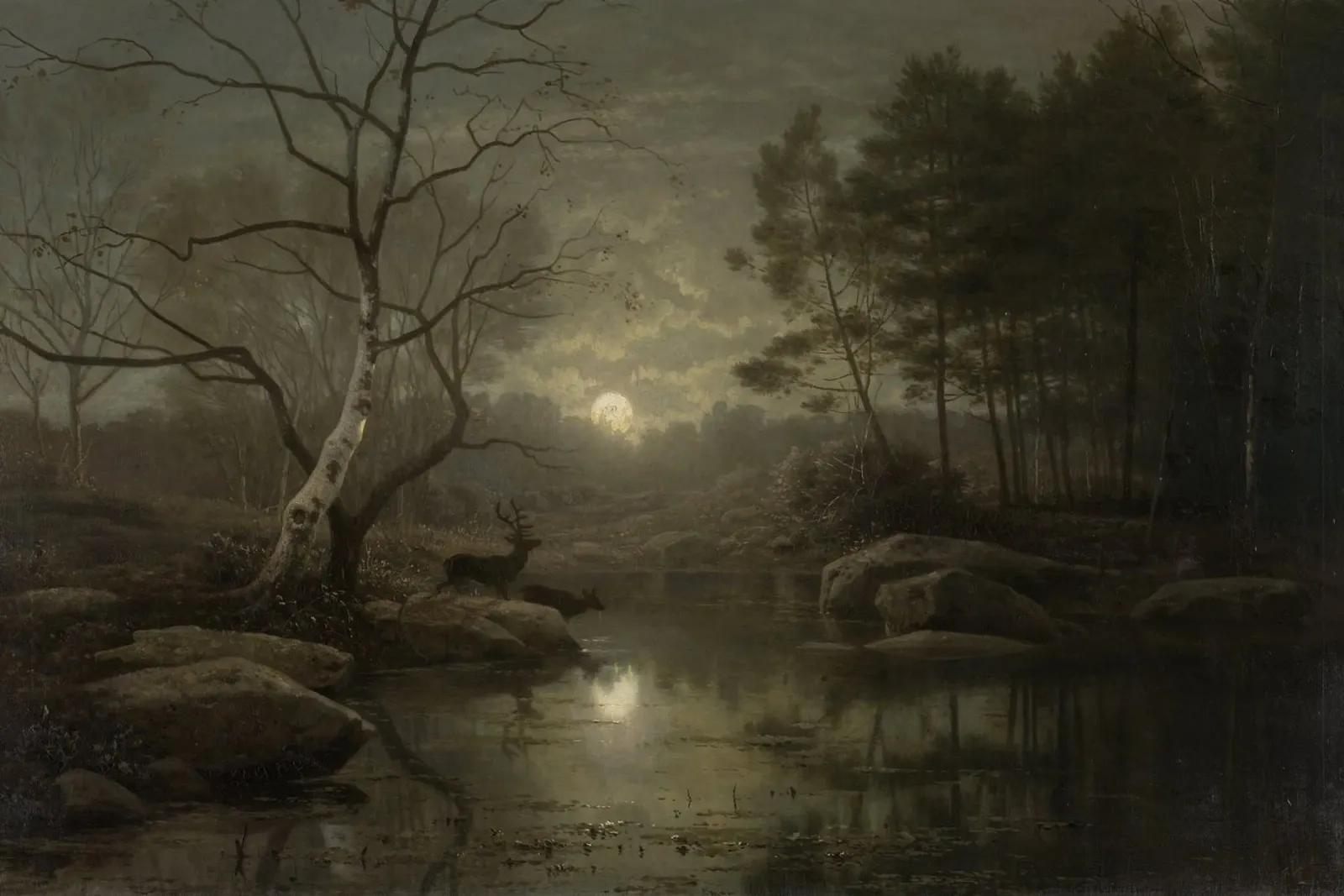 Georg Eduard Otto Saal - Paesaggio forestale al chiaro di luna poster con telaio in alluminio da Wirla