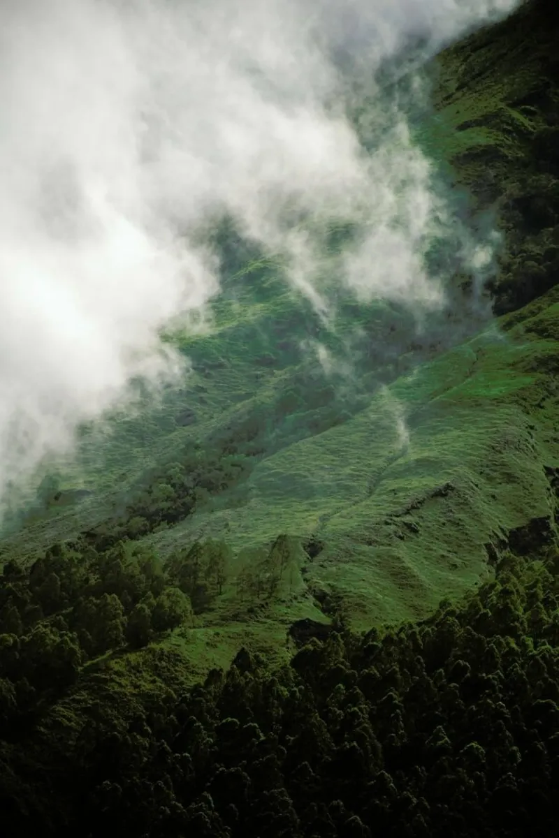 Hiking through Greens & Clouds pellicola backlit da Studio Nahili