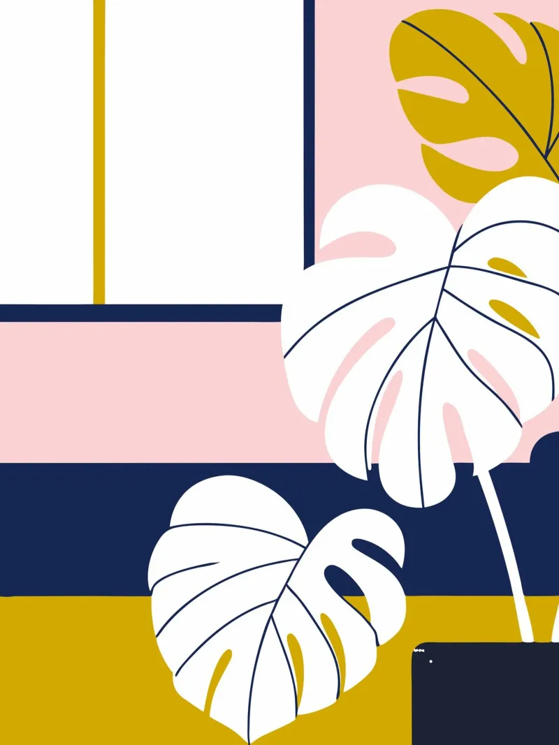 Fiore di Monstera pellicola backlit da TODAY'S SHOP