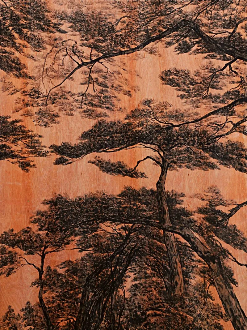 pine forest poster with aluminum frame by Soyoung Kwon