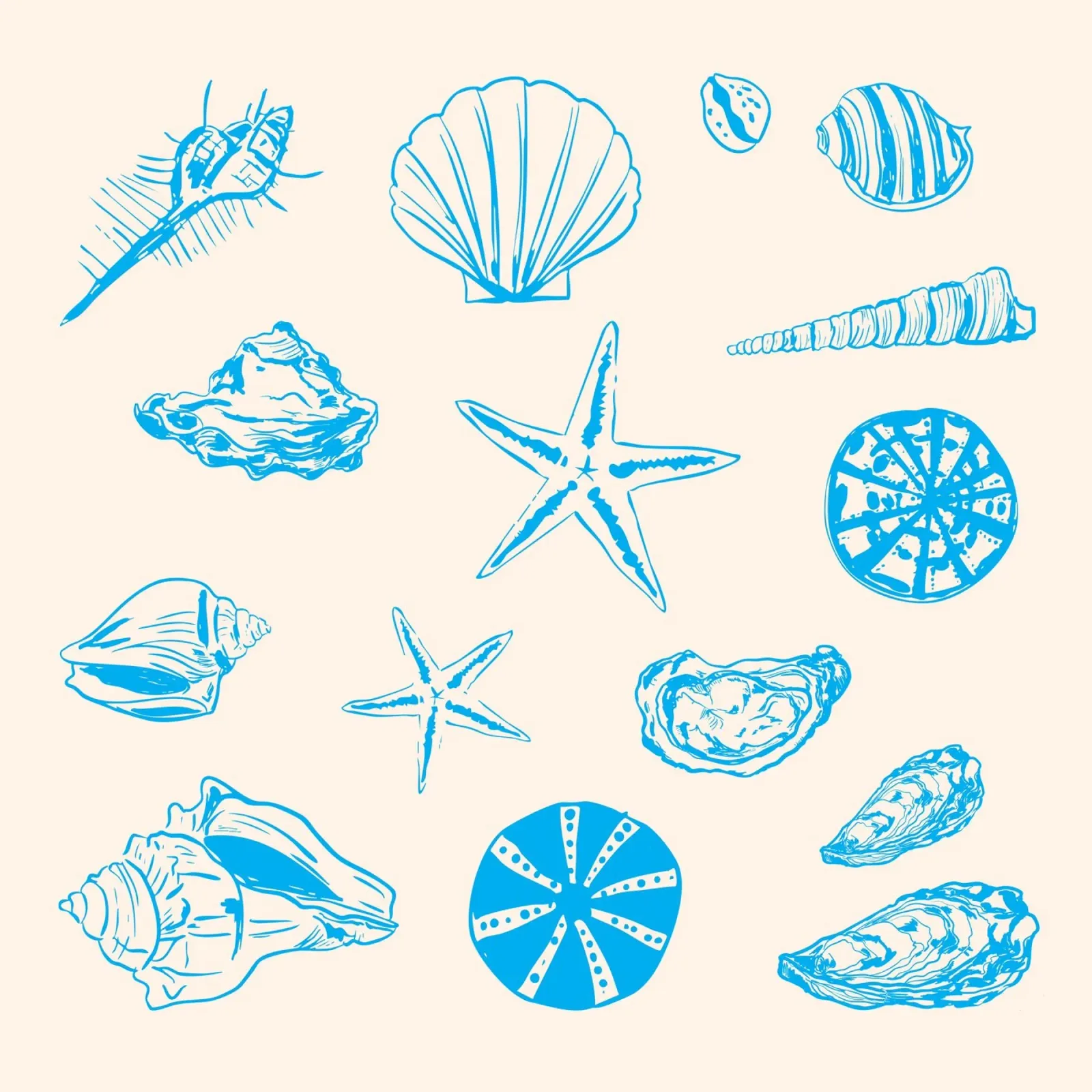 Coastal Shells & Starfish Line Art canvas by EDMPROJECT