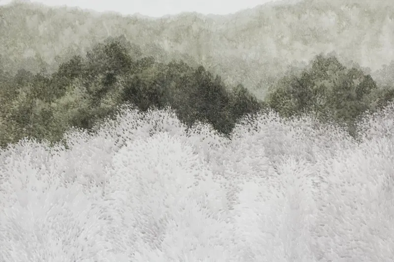 Paesaggio 2016 pellicola backlit da Soyoung Kwon