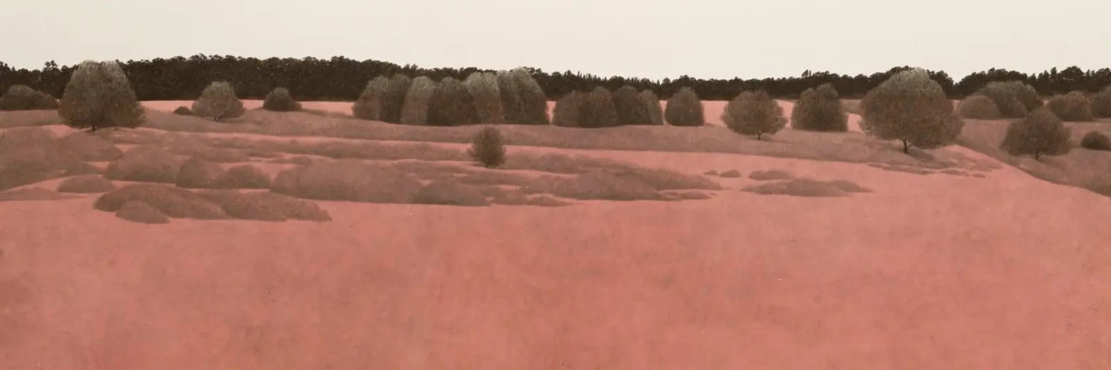 Red Sand Desert 2020 canvas with Floater frame by Soyoung Kwon