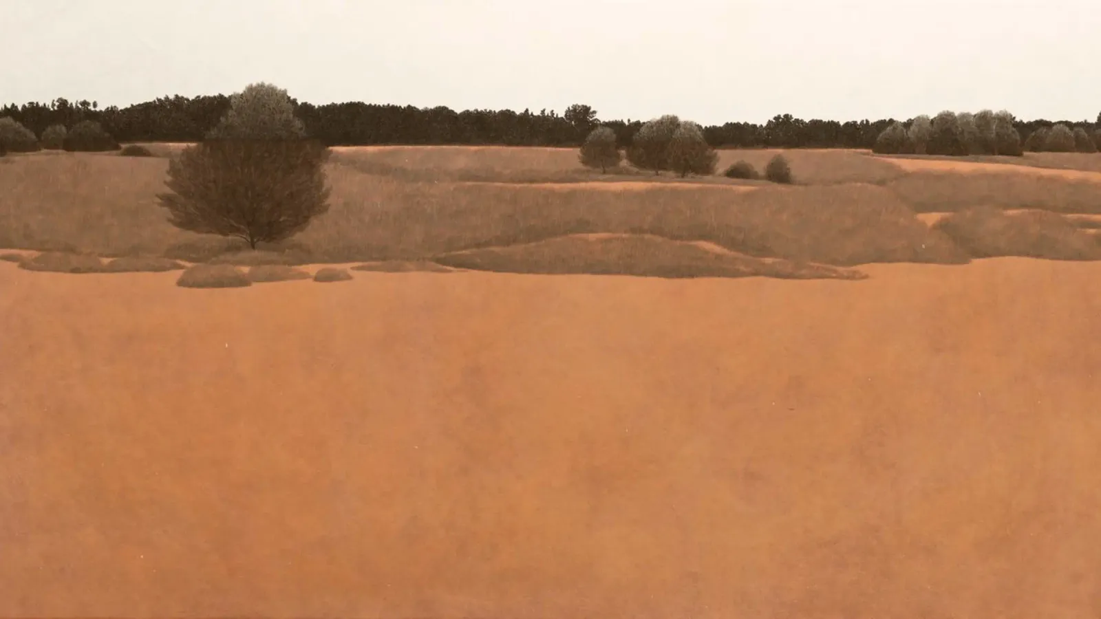 Red Sand Desert 2020 canvas with Floater frame by Soyoung Kwon