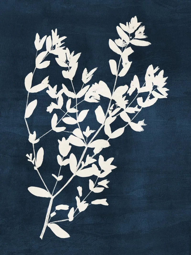 Abstract Botanical no. 9 Blue plexiglass da adrianooliveira