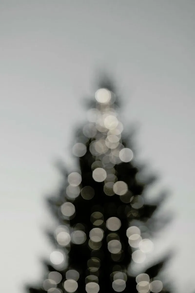 Merry Merry Christmas - Black & White Edition pellicola backlit da Studio Nahili