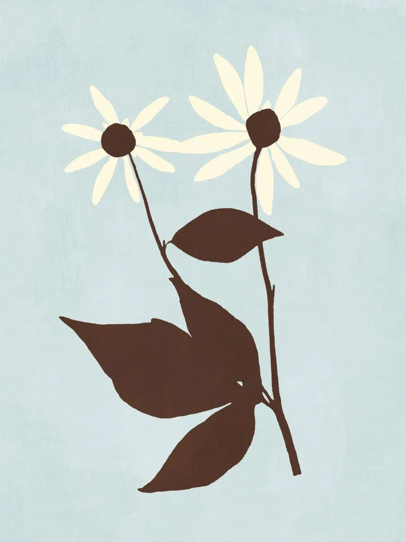Rudbeckia poster da adrianooliveira