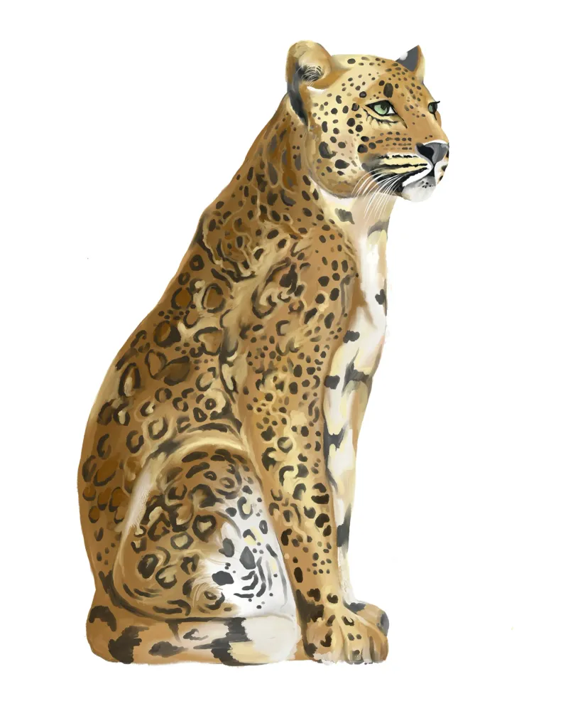 Leopard watercolor painting jungle wild animal forest pellicola backlit da mysteriouscoco