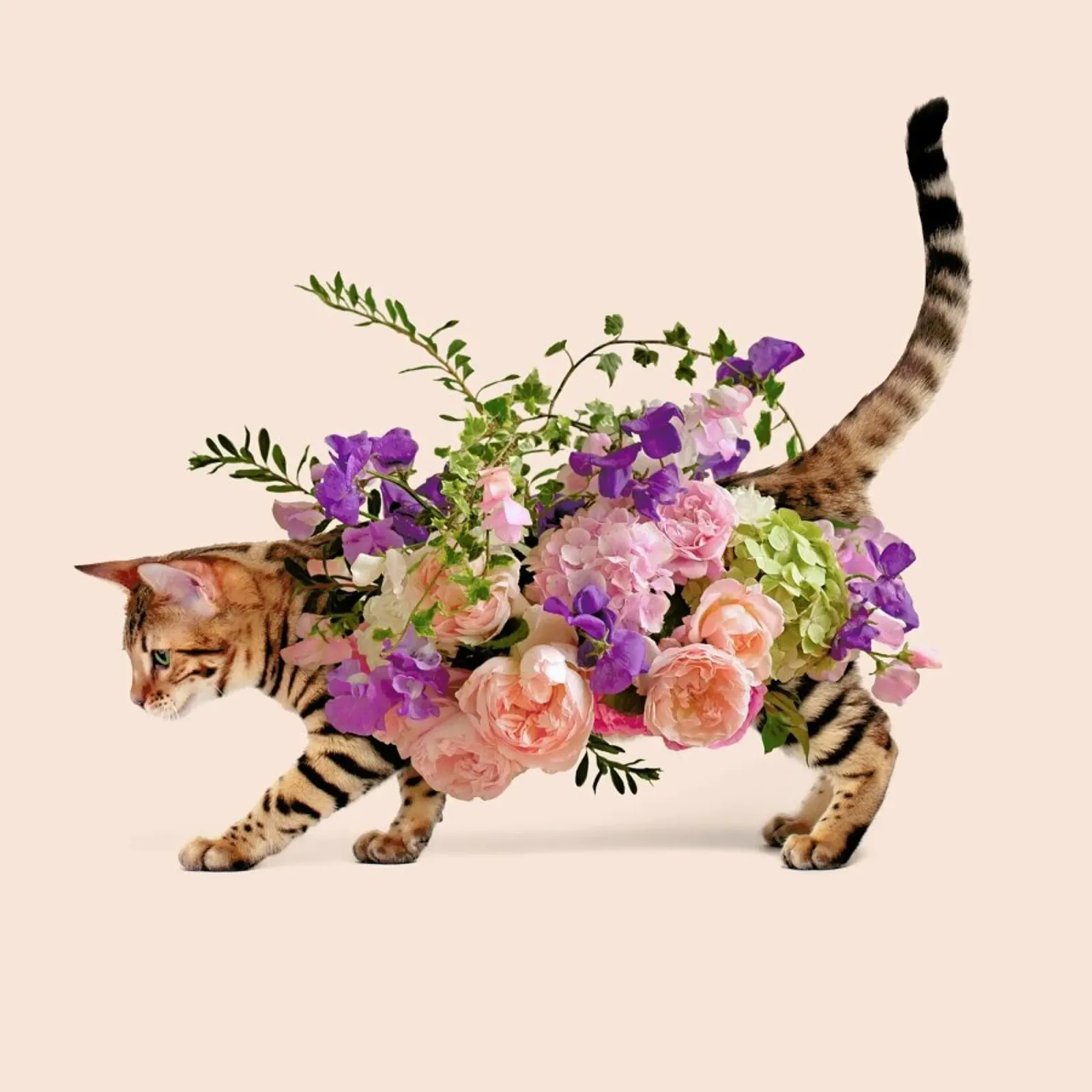 Floral Cat poster met kunststof frame van Paul Fuentes Design