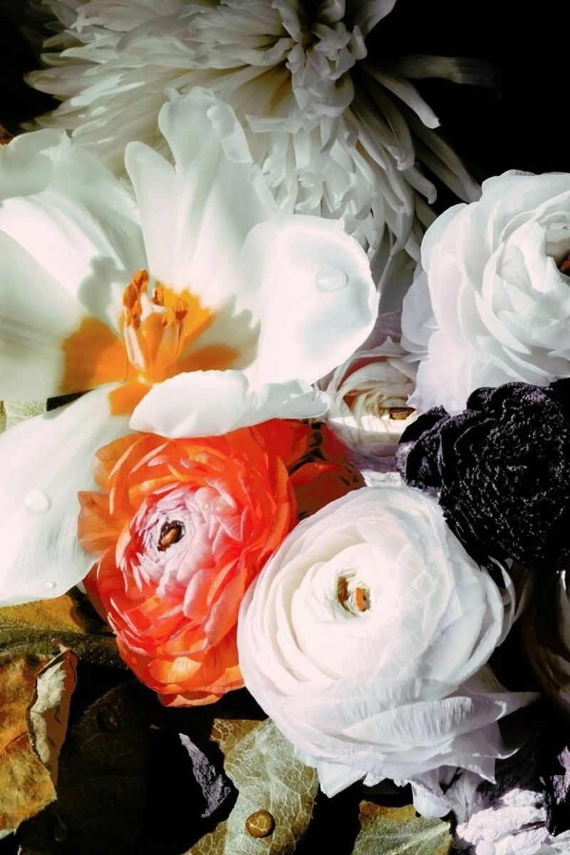 Ranunculus 10 Poster mit Holzrahmen von Leigh Viner