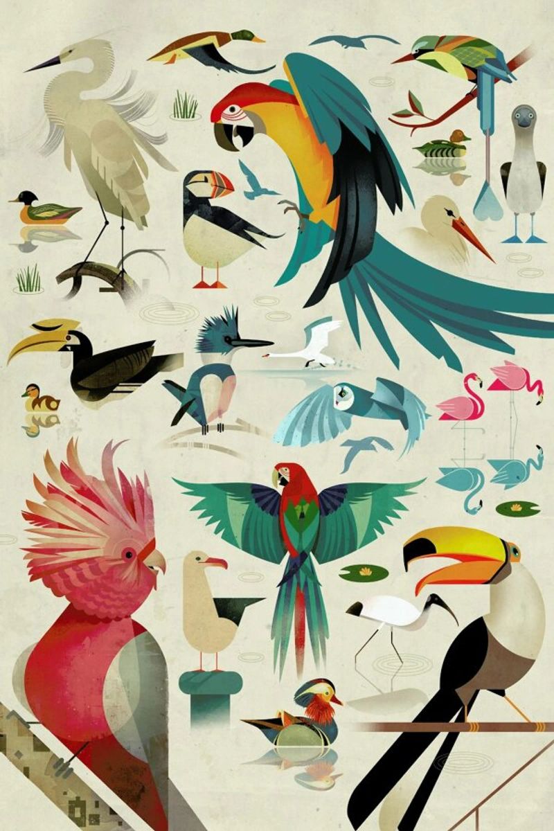 Birds poster de Dieter Braun