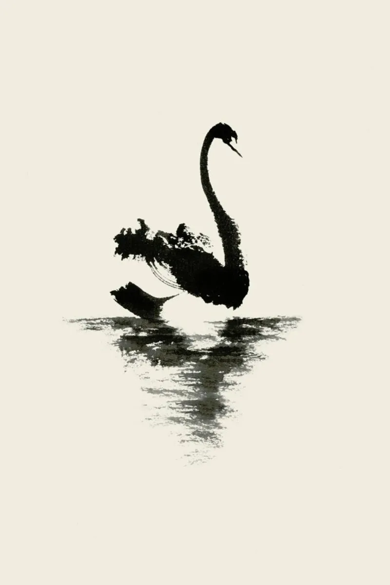 Black Swan pellicola backlit da Flora & Fauna