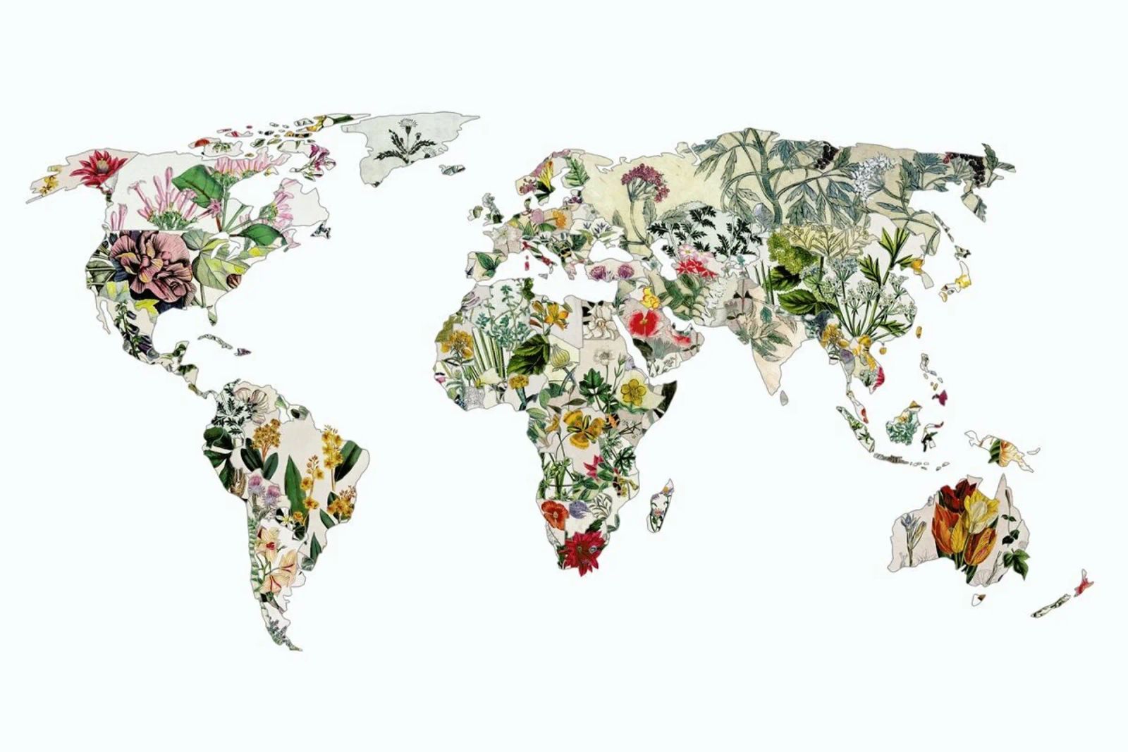 Vintage Botanical World poster by Bianca Green