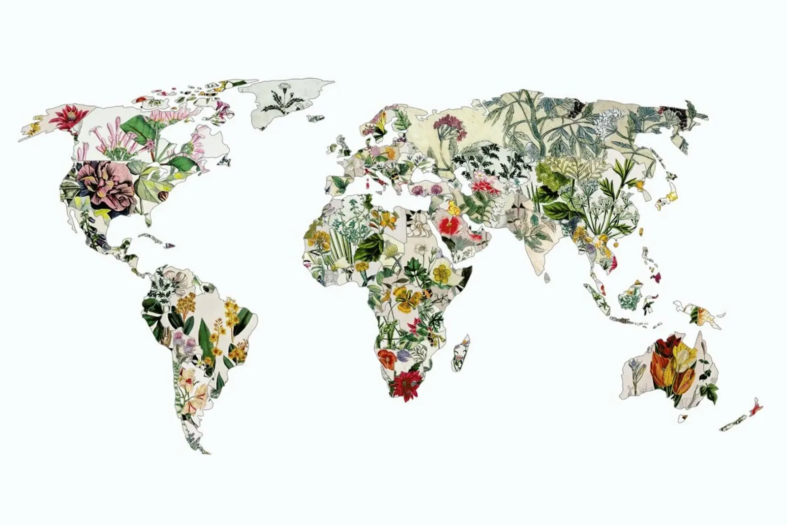 Vintage Botanical World poster con telaio in plastica da Bianca Green